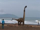 Dinosaur at Bheemili Beach